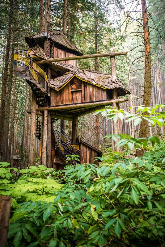 The Enchanted Forest - BC Tallest Treehouse - Family Attraction
