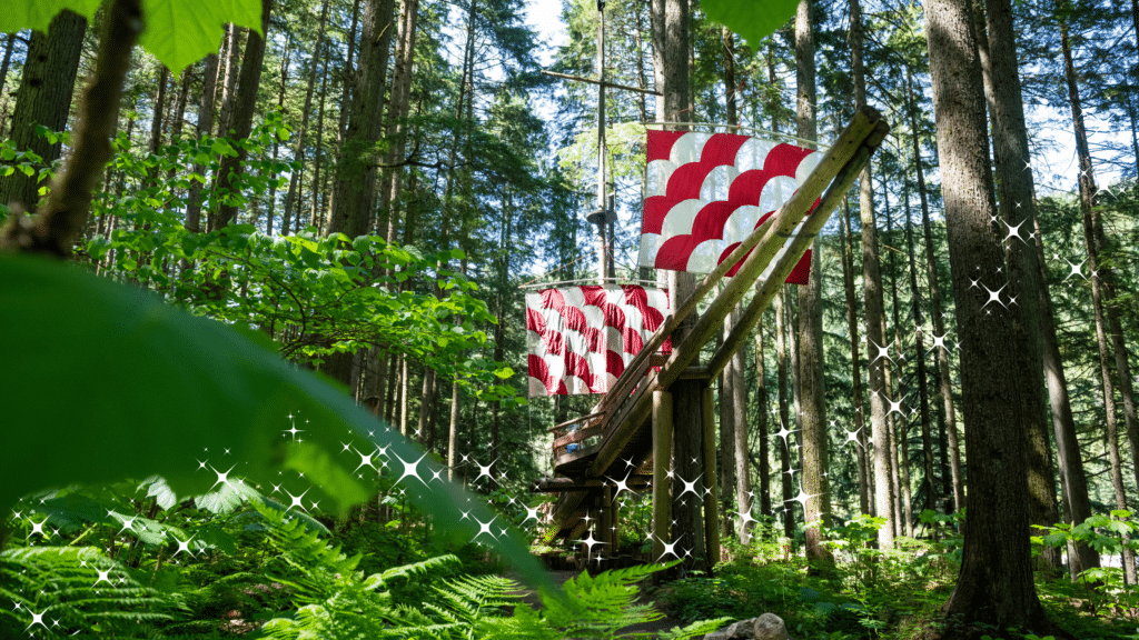 Pirate Ship in the Woods - The Enchanted Forest