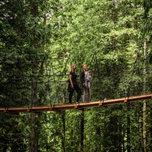 Sky Trail